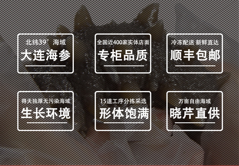 海參,大連海參,曉芹海參,即食海參,海參品牌,年貨禮盒 海參,大連海參,曉芹海參,即食海參,海參品牌,年貨禮盒